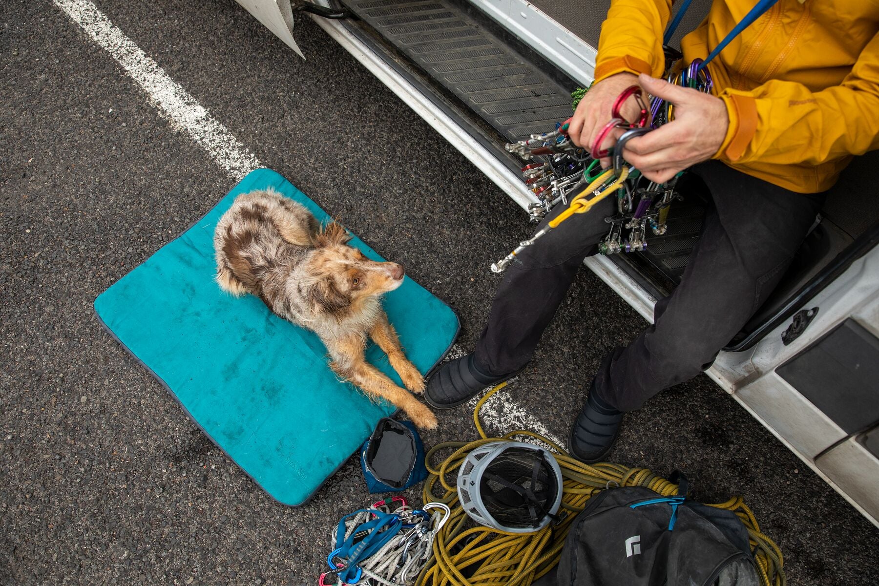 Ruffwear Mt Bachelor Pad for Dogs and Cats