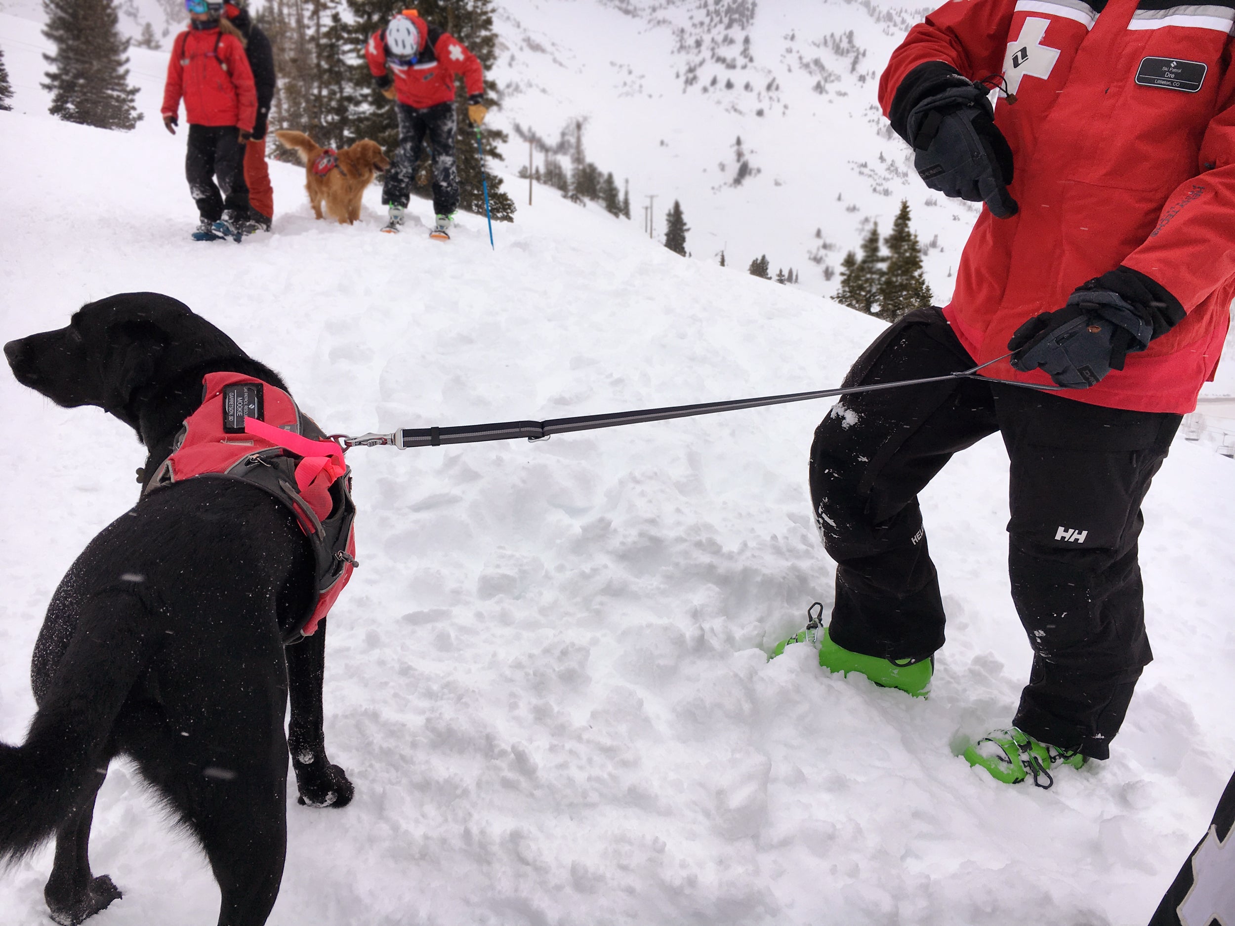 Ruffwear patroller leash on sale