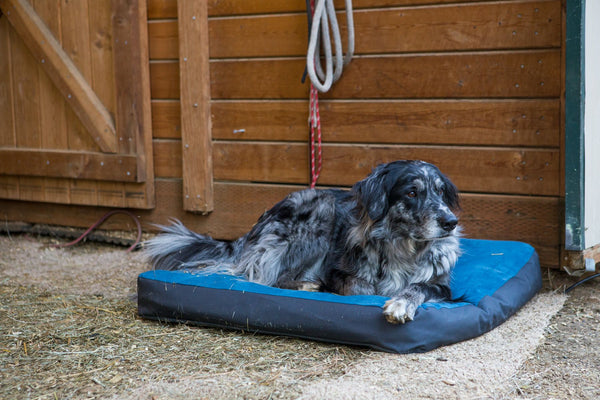 Ruffwear Urban Sprawl Bed for Dogs and Cats