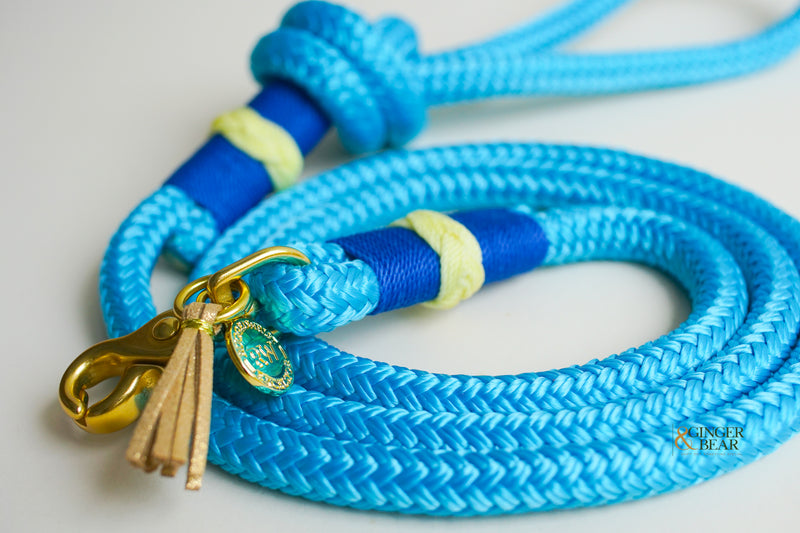 Rugged Hudson Dog Leash: Knotted Yellow on Light Blue rope