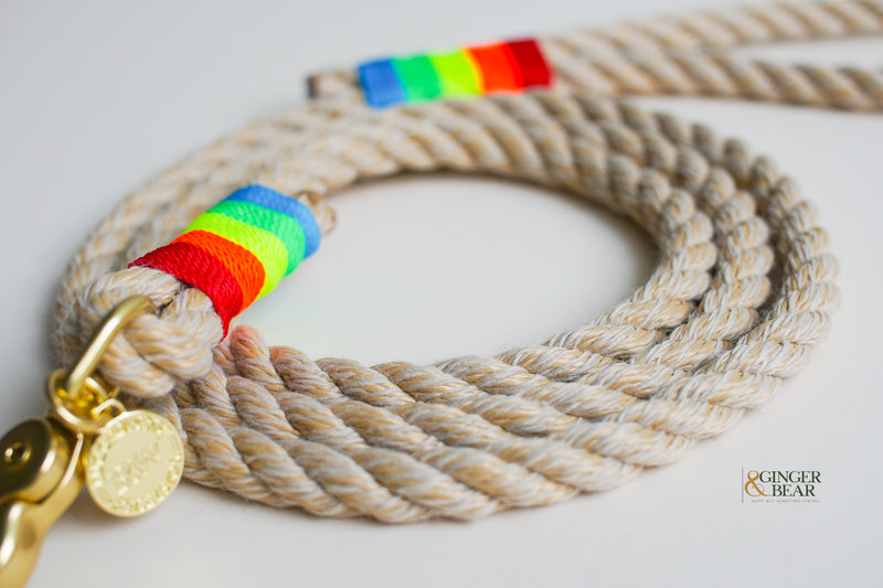 Rugged Hudson Dog Leash: Rainbow on Natural rope