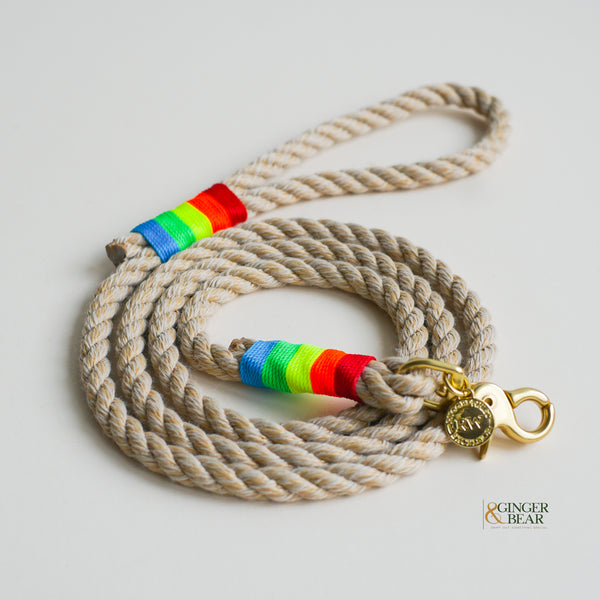 Rugged Hudson Dog Leash: Rainbow on Natural rope