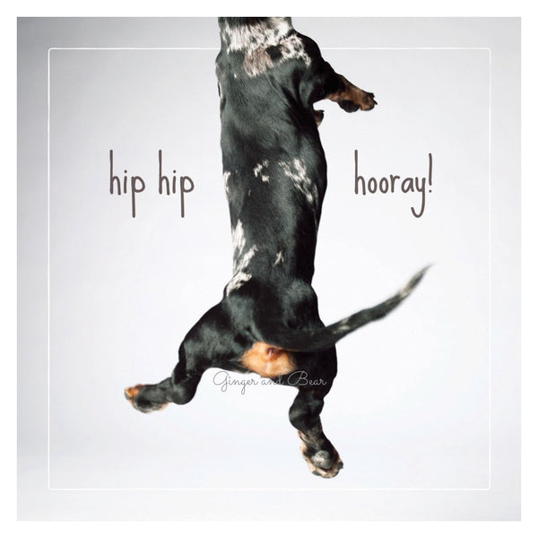 Congratulations: Benny the Dachshund is so excited he's jumped out of the card!