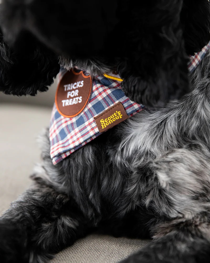 Dog Merit Badges: Tricks for Treats