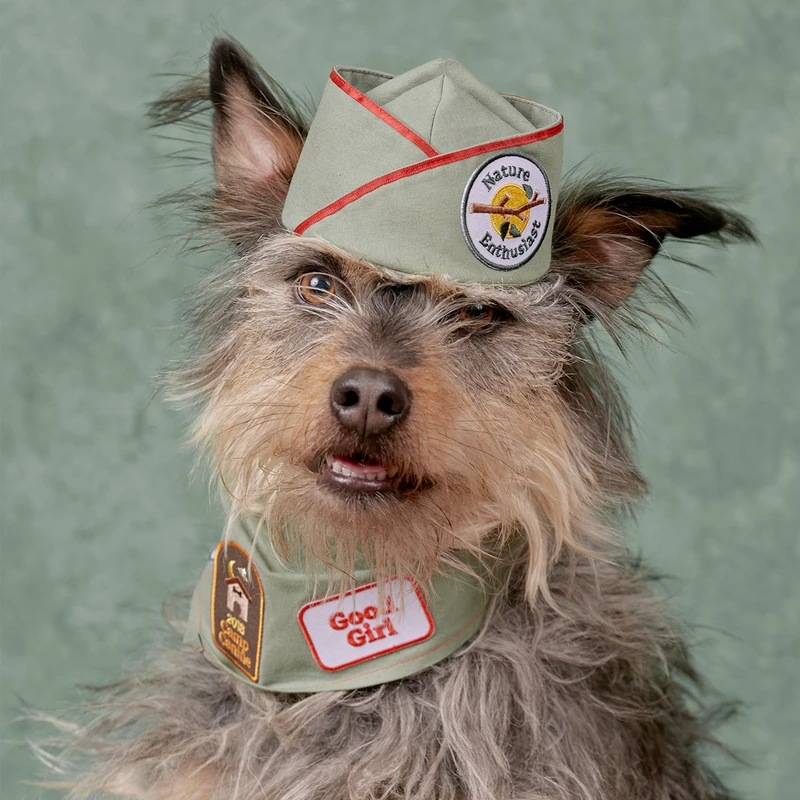 Dog Merit Badges: Good Girl