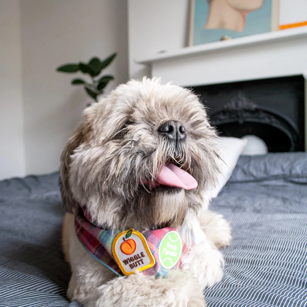 Dog Merit Badges: Wiggle Butt