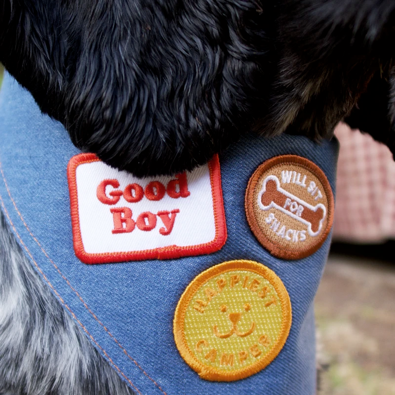 Dog Merit Badges: Good Boy