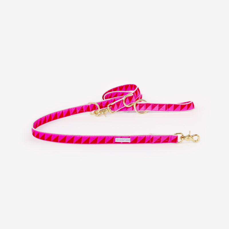 Nice Grill Dog Leash: Ruby Hot Pink