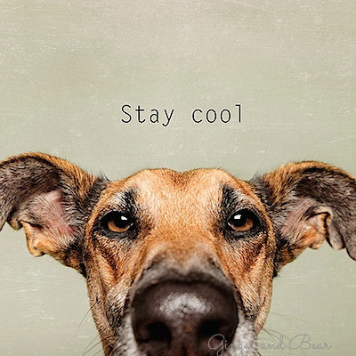 Postcard: Stay cool