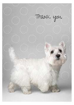 Thank you Notecard box: West Highland Terrier