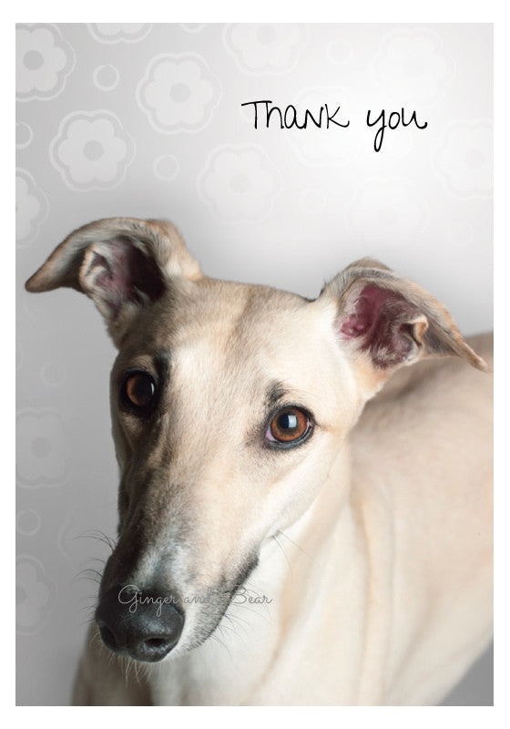 Thank you Notecard box: Greyhound