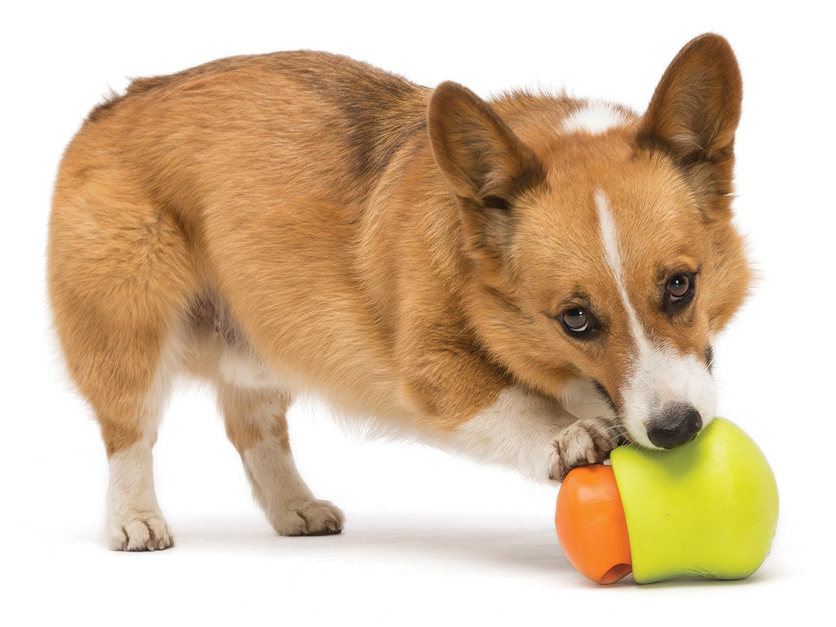 Interactive puzzle food dispensing dog toy Zogoflex Toppl