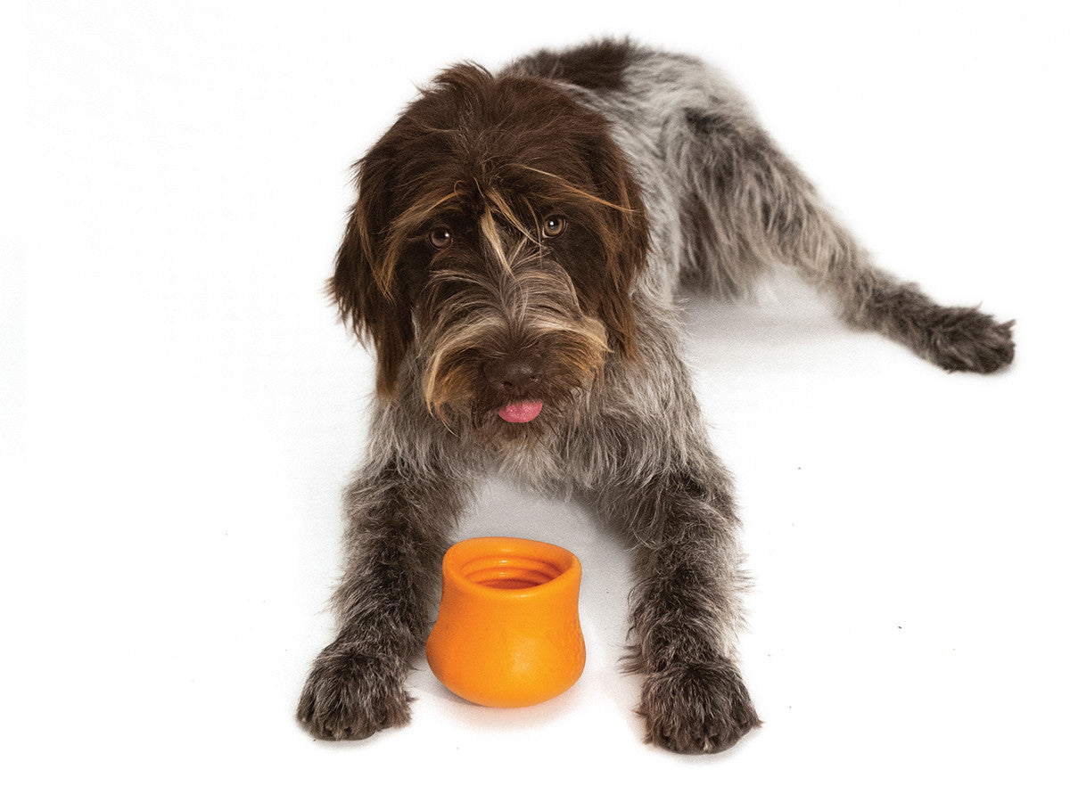 Interactive puzzle, food-dispensing dog toy, Zogoflex Toppl