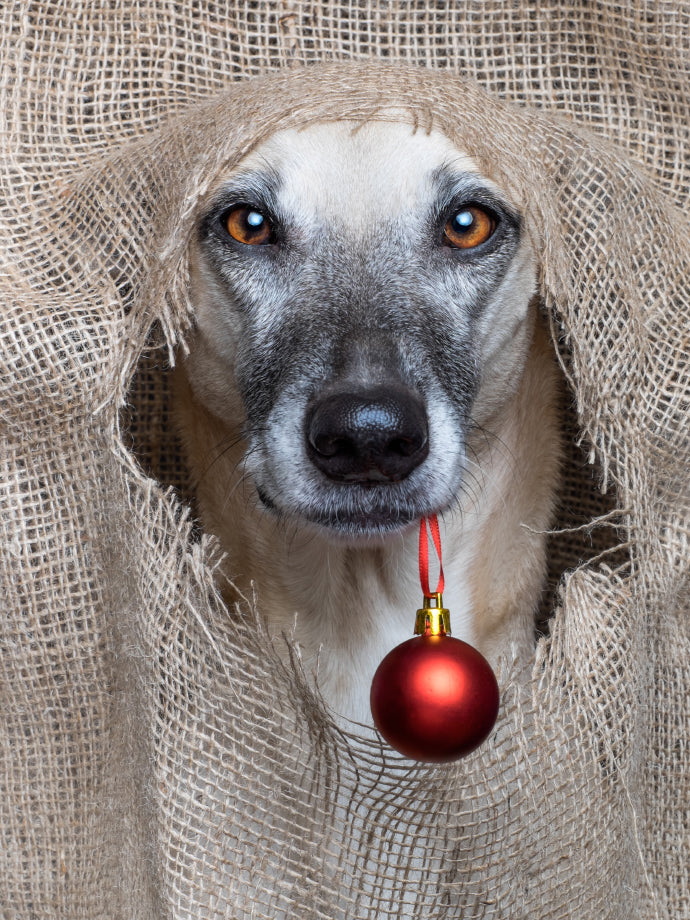 Christmas Greeting card: Tree Ornament Holder