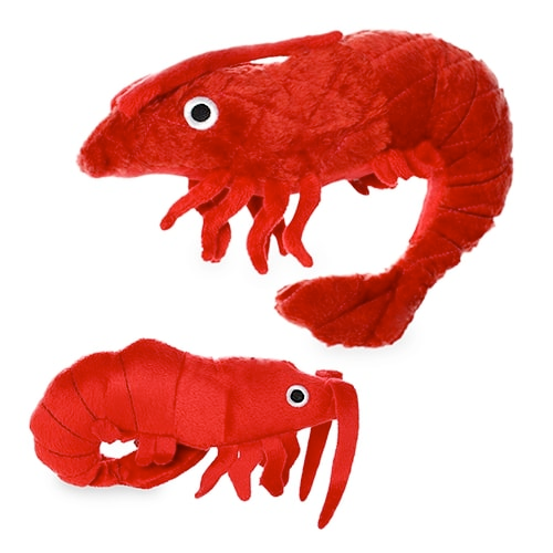 Mighty Ocean Dog Squeaky Toy, Paco the Prawn (mini and regular size)