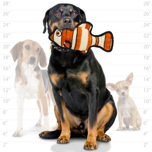 Tuffy Ocean Dog Squeaky Toys, Fish (mini and regular size)