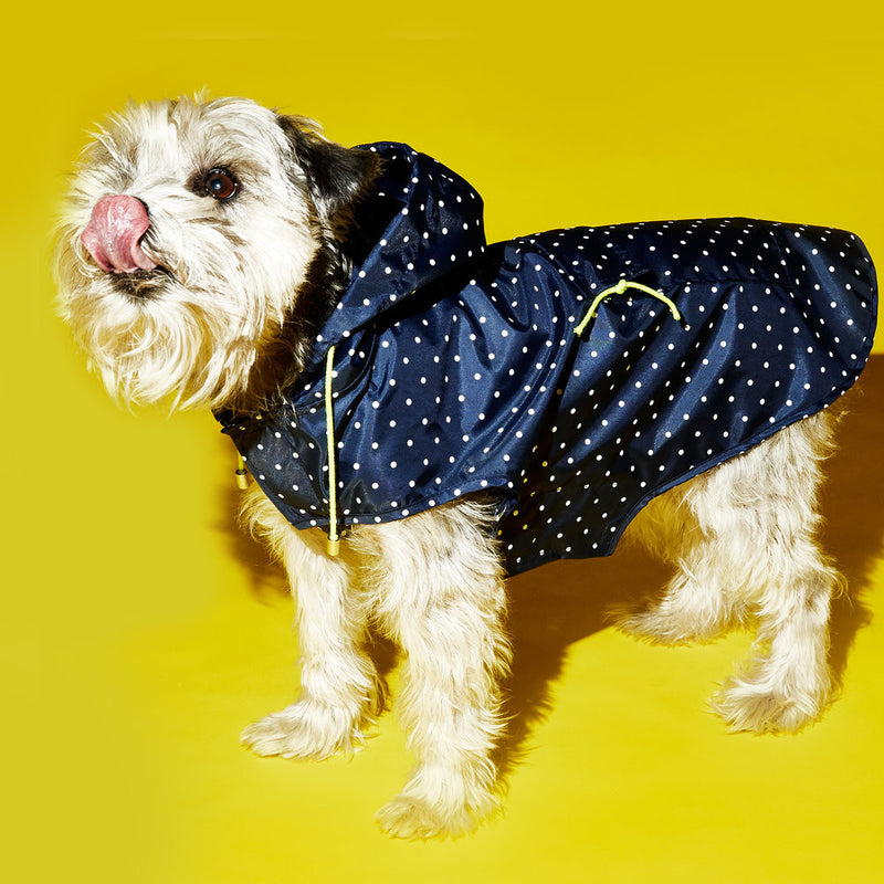Ware of the Dog Dot Anorak Raincoat with Hood in Navy/White Polka dots