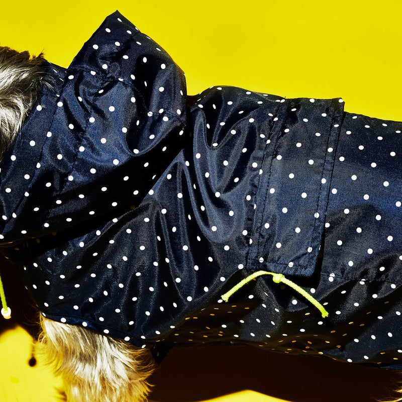 Ware of the Dog Dot Anorak Raincoat with Hood in Navy/White Polka dots