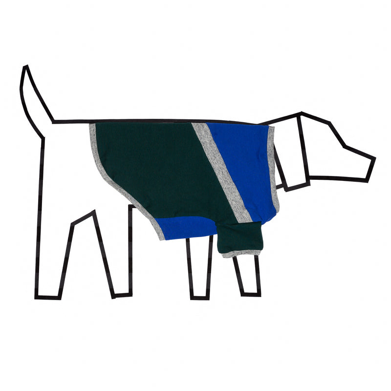 Ware of the Dog Diagonal Stripe Dog t shirt Blue Green