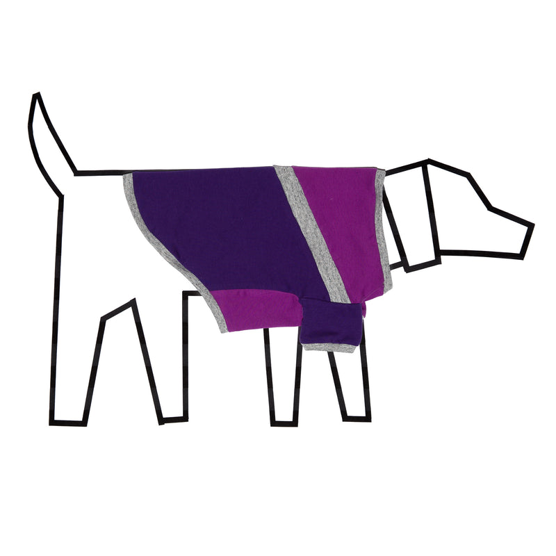 Ware of the Dog Diagonal Stripe Dog t shirt Purple Purple