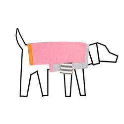 Ware of the dog ColourBlock T-shirt Pink