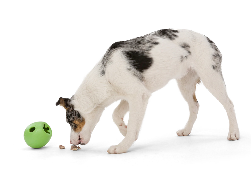 Interactive puzzle, food-dispensing dog toy, Zogoflex Echo Rumbl