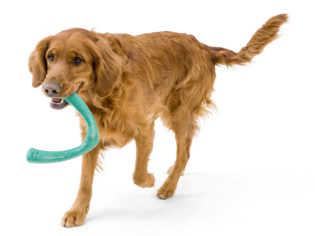 Toss and Fetch Dog toy, Seaflex Snorkl