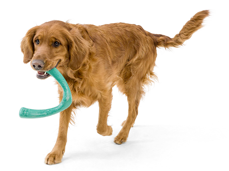 Toss and Fetch Dog toy, Seaflex Snorkl