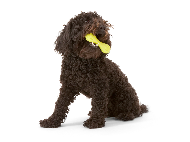 Toss and Fetch Dog toy, Zogoflex Hurley [Holiday version]
