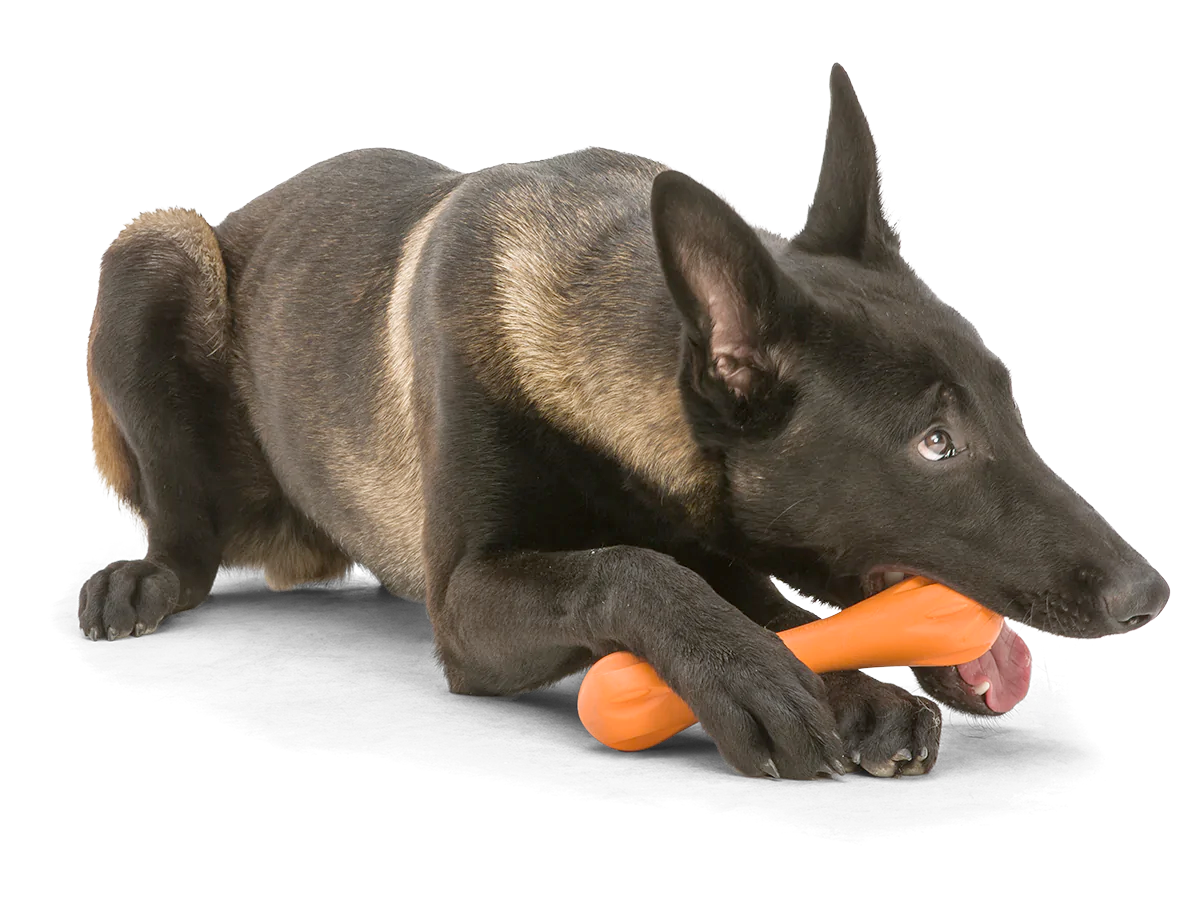 Toss and Fetch Dog toy, Zogoflex Hurley [Holiday version]