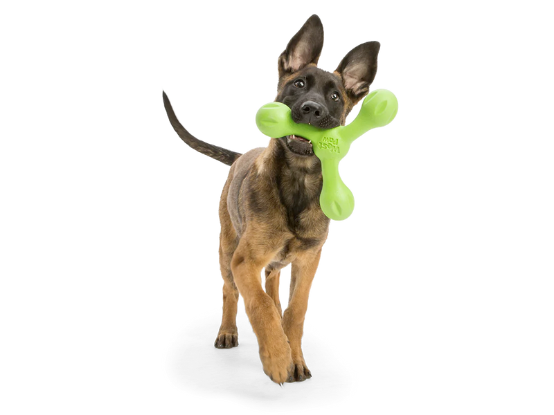 Toss and Fetch Dog toy, Zogoflex Echo Skamp