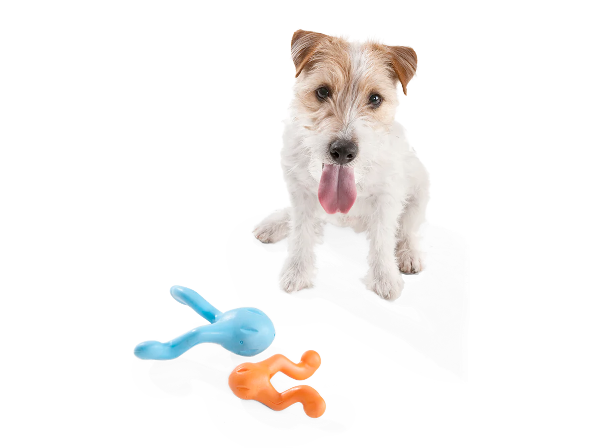 Toss and Fetch Interactive Treat Dispensing Dog toy Zogoflex Tizzi