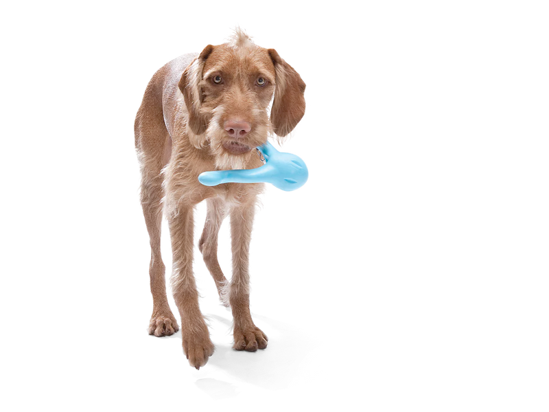 Fetch & 2024 treat pet toy