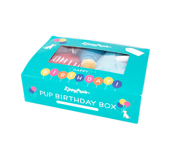 Zippy Squeaky Dog Toy, Pup Birthday Box Blue