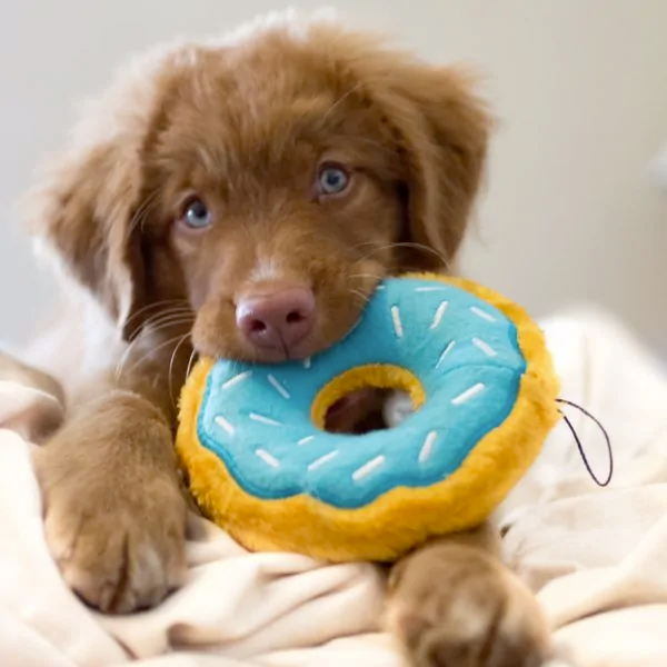 Zippy Squeaky Dog Toy, Donutz 4-piece Gift Box