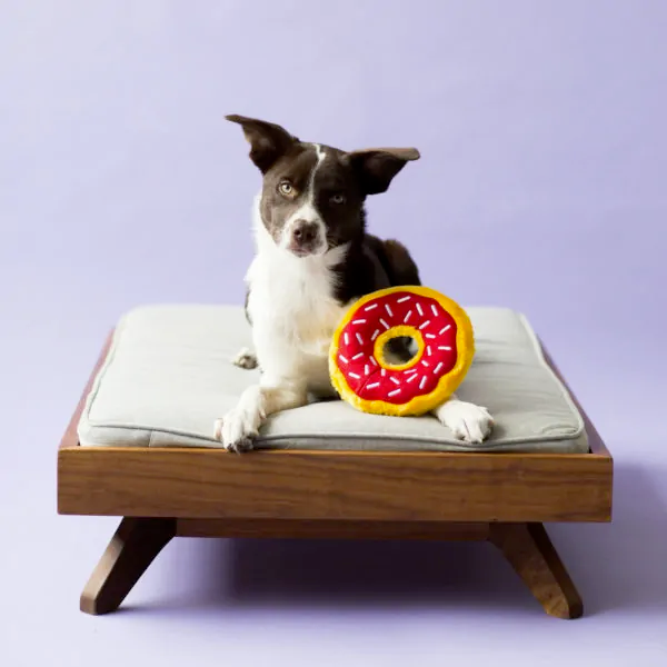 Zippy Squeaky Dog Toy, Miniz Donutz 6-piece Gift Box