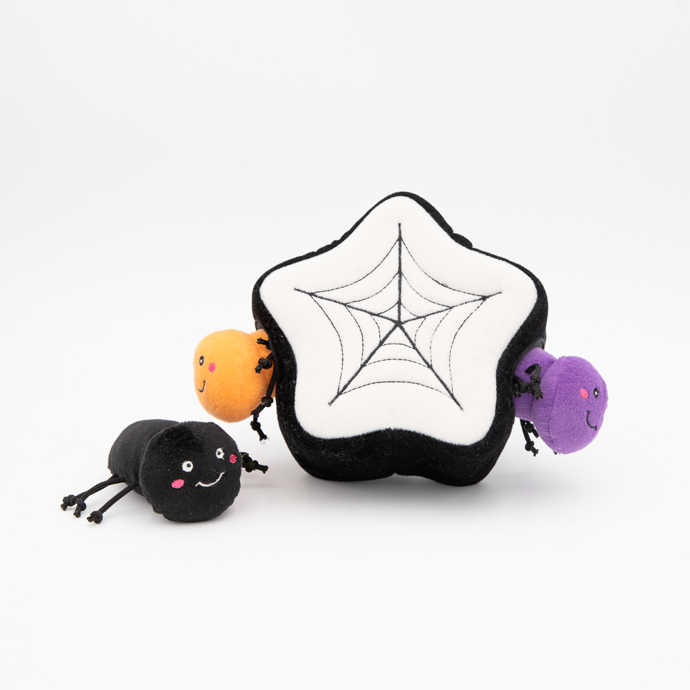 Halloween Burrow Sniff 'n Search Squeaky Dog Toy, Spider Web