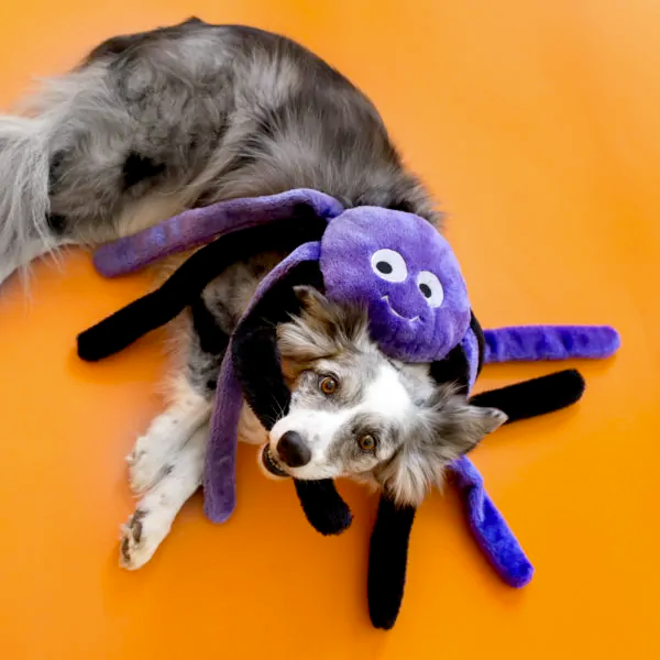 Dog Grunting Crinkly Toy, Halloween Grunterz Spiderz