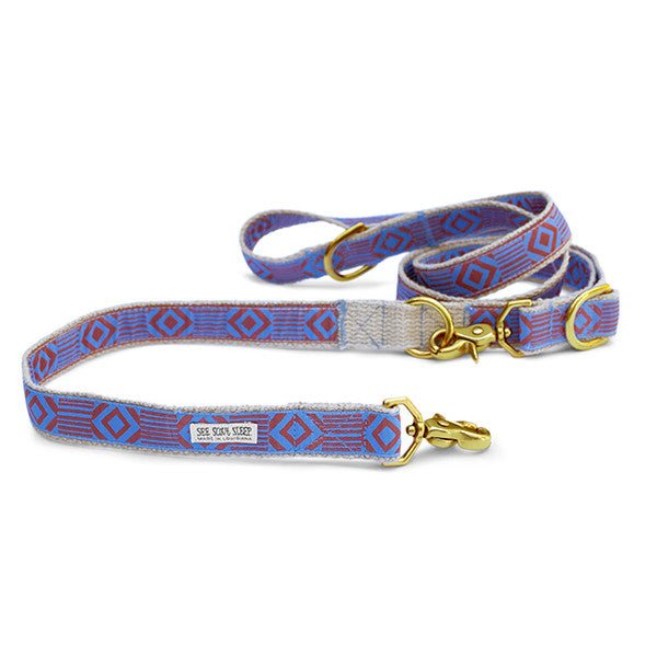 Out of My Box Leash, Lake Blue and Rust