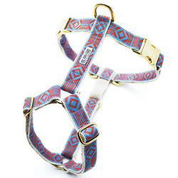 Out of My Box Harness: Lake Blue and Rust