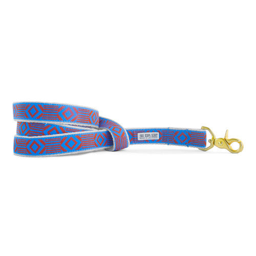Out of My Box Leash, Lake Blue and Rust