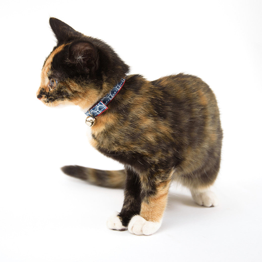 Hiro+Wolf Cat Collar, ShweShwe Navy Circles