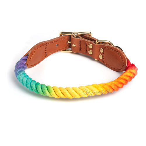 Rope and Leather Collar, Prismatic